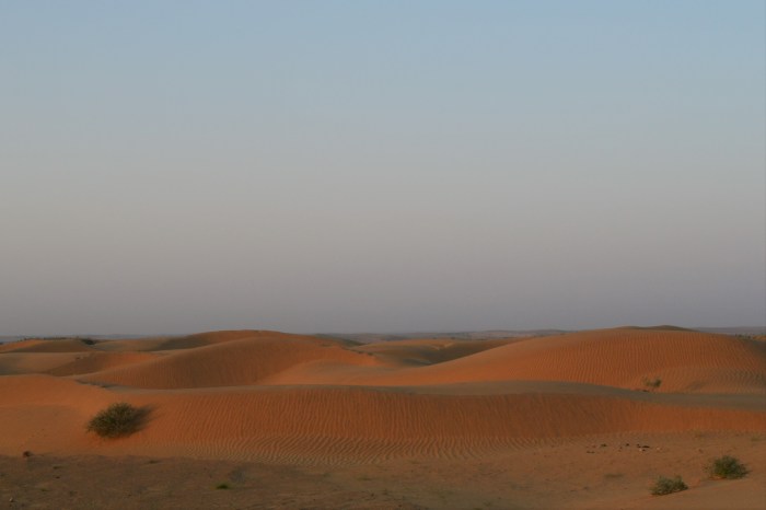 mejor amanecer en el desierto