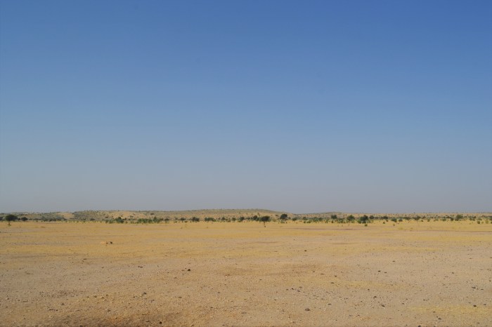 llegada al desierto del Thar Jaisalmer