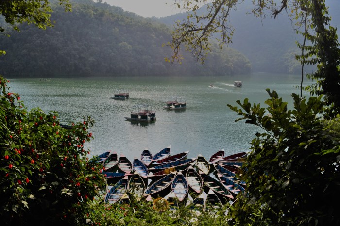 barcas en Pokhara