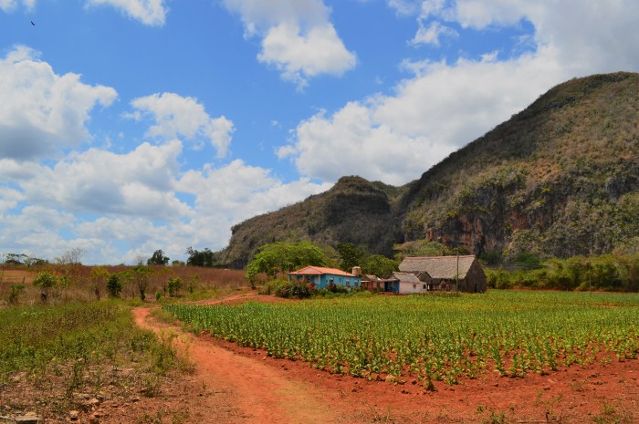 viñales cuba habanos baratos