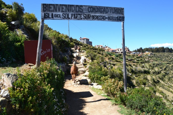 bienvenidos isla sol