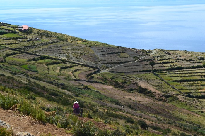 vista panorámica isla sol