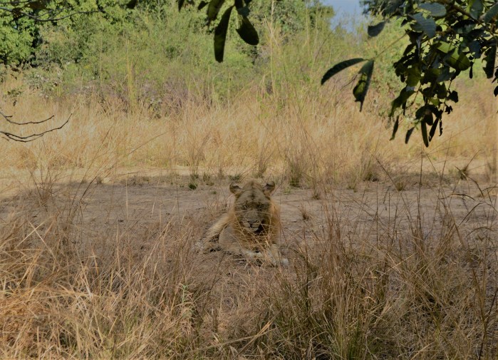 León South Luangwa