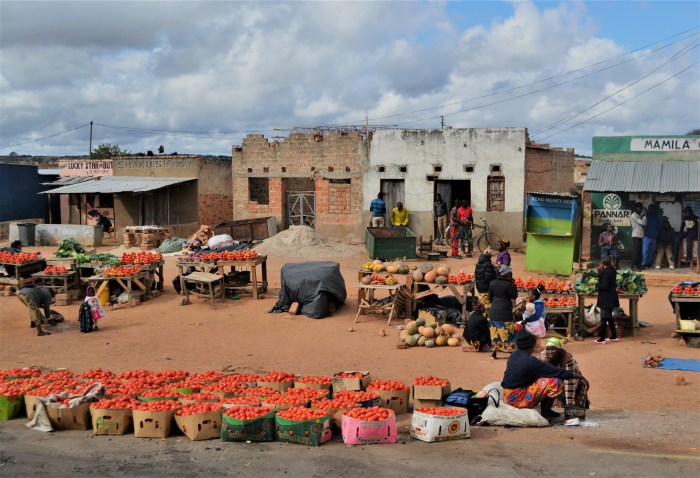Mercado africano
