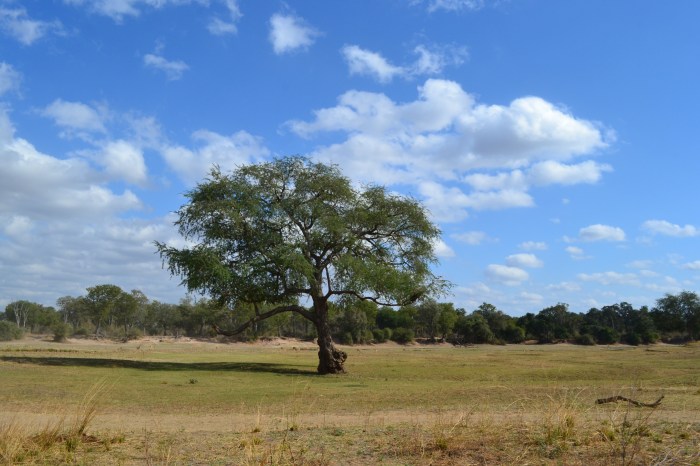 Paisajes de Zambia