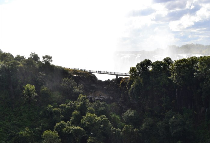 Paso cataratas Victoria
