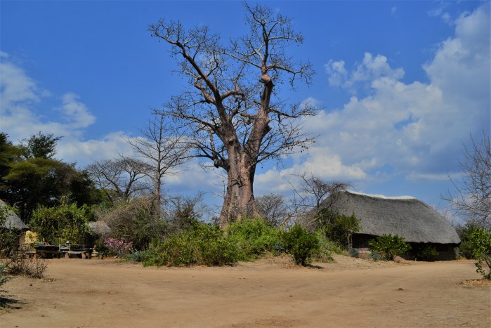 Baobab Liwonde Safari Camp