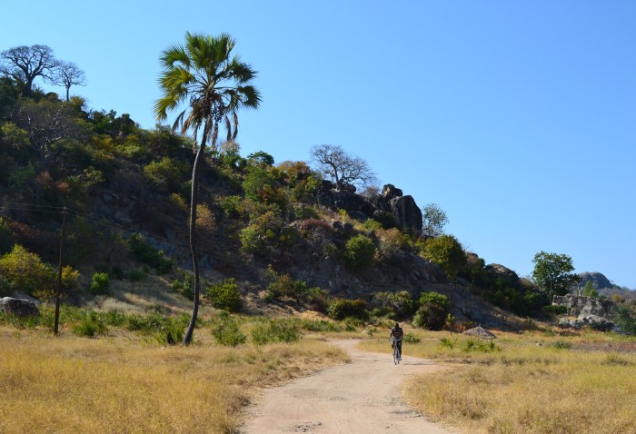 Camino a Mufasa Lodge