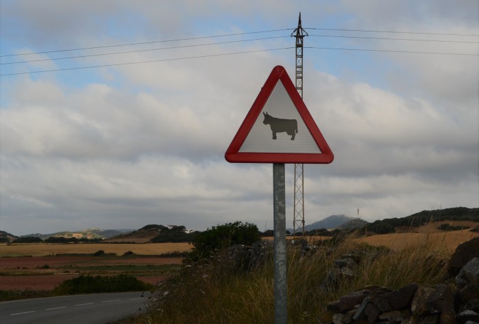 señales vacas