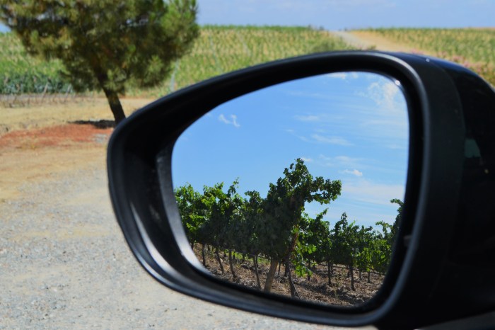 Vino Alentejo Portugal