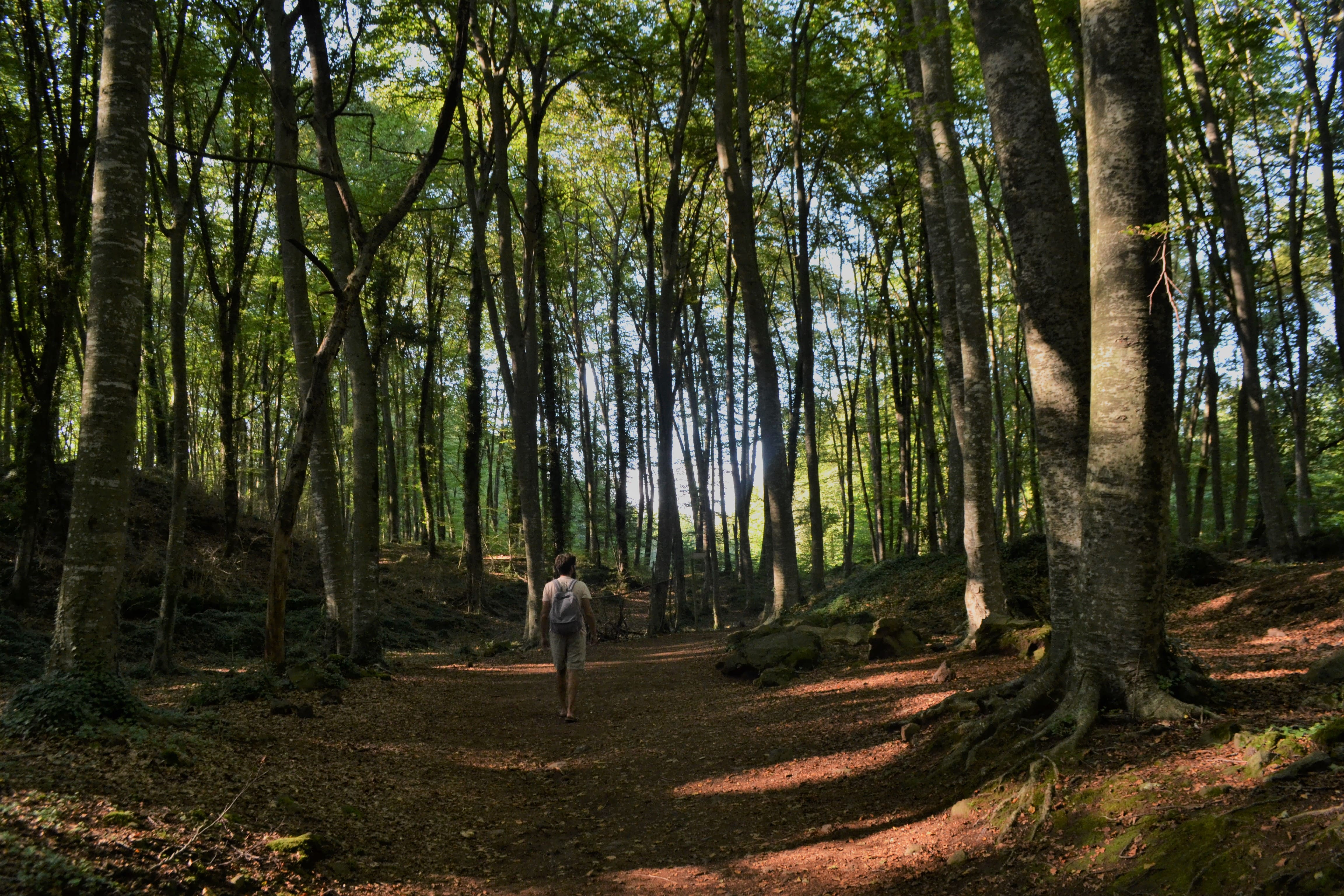 La Fageda Garrotxa Fageda Garrotxa