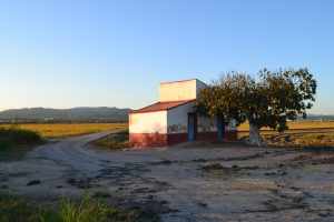 Delta del Ebro paisaje