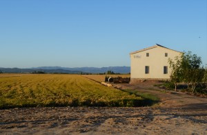 delta ebro tarragona playas
