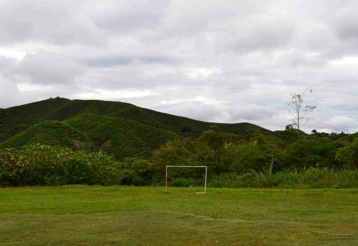 té cameron malasia viajar