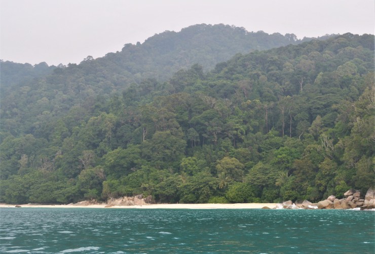 Turtle beach perhentian