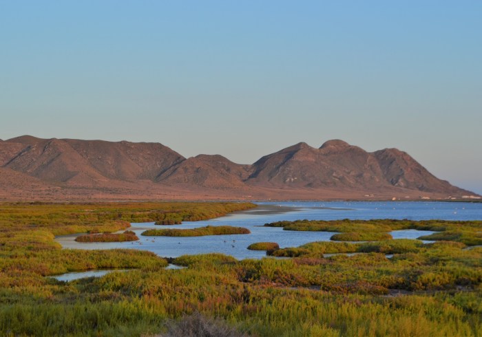 Cabo de Gata Salinas