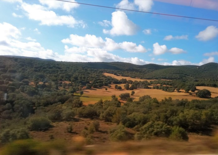 ave Barcelona Córdoba