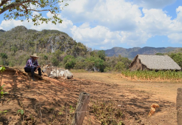 Cuba valle de Viñales
